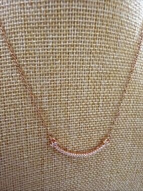 Stainless Steel necklace  Gold Rose necklace for Women’s elegant necklaces